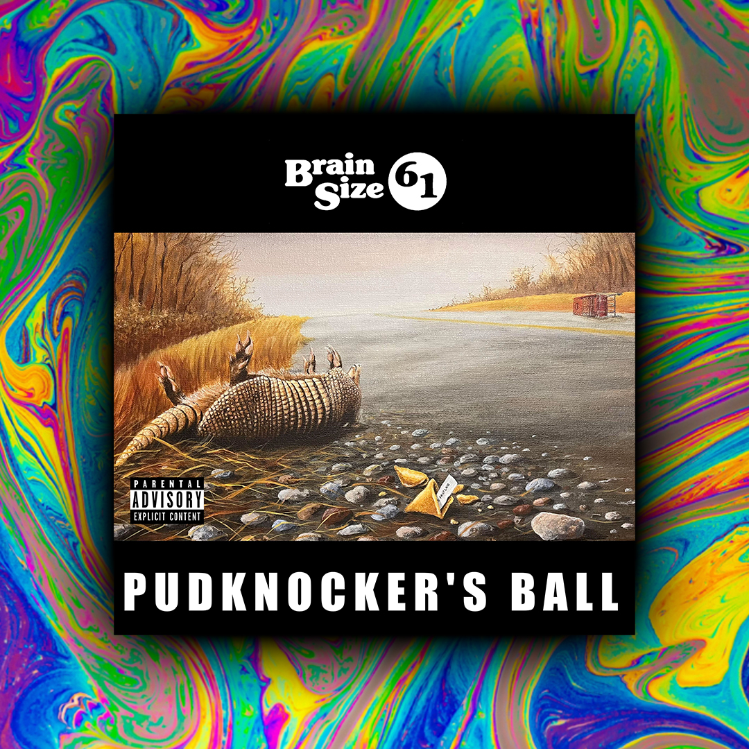pudknocker's ball the new album by brain size 61