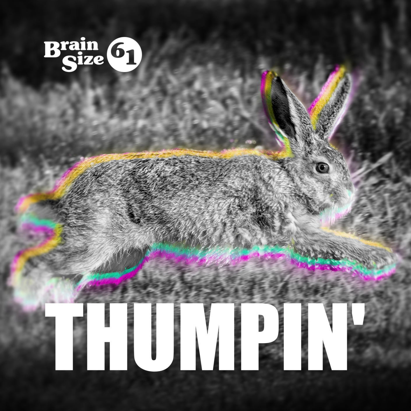 Thumpin' Cover Reduced pudknocker's ball the new album by brain size 61